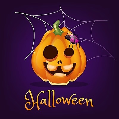 EPS 해외이미지 일러스트 사람없음 보라색 주황색 거미줄 거미 잭오랜턴 레터링 해외일러스트 컬러 곤충 할로윈 파일형식 벡터 이미지허브