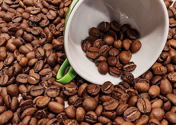 EPS 해외이미지 전통 커피 음료 음식 백그라운드 농업 일러스트 재료 자연 아침 콩 씨앗 농작물 갈색 검은색 어둠 카페 에너지 흰색 신선 뜨거움 그룹 닫기 맛 떨어짐 아침식사 낟알 굽기 오브젝트 상쾌 질감 아로마 향 흙더미 내추럴 고립 블랙커피 카페인 해외일러스트 주간 식물 감정 산업 컬러 컨셉 모션 곡류 상점 식사 흙 구이 생태계 파일형식 벡터 더미 이미지허브