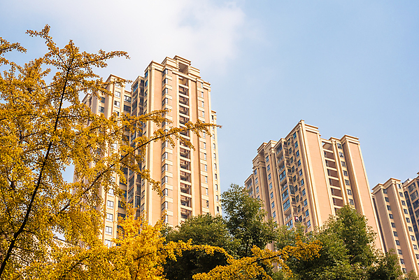 포토 JPG 해외이미지 나무 식물 계절 공원 아시아 잎 자연 하늘 동양인 풍경 사람없음 야외 파란색 컬러풀 노란색 환경 중국 활발 가을 나뭇가지 황금 내추럴 해외포토 공공시설 나라 컬러 컨셉 인종 생태계 파일형식 이미지허브