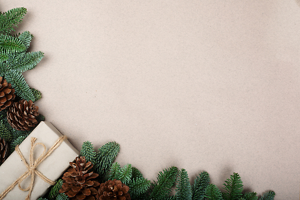 포토 JPG 해외이미지 나무 식물 템플릿 디자인 배너 기념일 종이 밧줄 백그라운드 크리스마스 겨울 패턴 휴가 새해 프레임 선물 사람없음 초록색 갈색 공백 나뭇가지 축하 소나무 신용카드 클래식 심볼 활 에코 심플 침엽수 전나무 원뿔 내추럴 목업 가문비나무 카피스페이스 해외포토 도형 계절 줄 컬러 컨셉 무늬 이벤트 금융 환경 파일형식 이미지허브