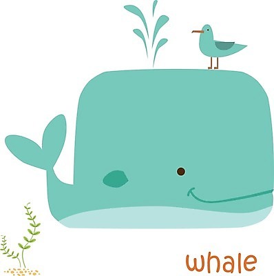 EPS 해외이미지 동물캐릭터 잎 두마리 일러스트 조류 사람없음 귀여움 고래 민트색 해외일러스트 일러캐릭터 식물 동물 캐릭터 컬러 컨셉 2 포유류 수중동물 파일형식 벡터 이미지허브