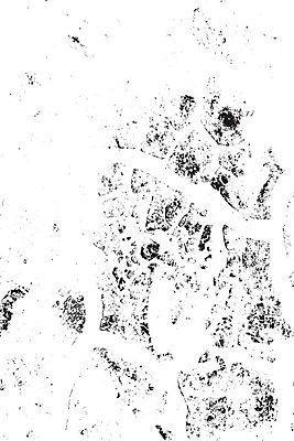 EPS 해외이미지 템플릿 디자인 지구 벽 백그라운드 패턴 일러스트 자연 벽지 표면 추상 건조 미술 그래픽 환경 검은색 페인트 흙 손상 고통 사막 수확 흰색 거친 균열 땅 고민 질감 먼지 덮기 점토 진흙 가뭄 내추럴 그런지 깨짐 땅바닥 옛날 재앙 지진 콘크리트 효과 해외일러스트 감정 컬러 컨셉 무늬 농업 모션 날씨 문화예술 바닥 자연재해 생태계 파일형식 벡터 이미지허브