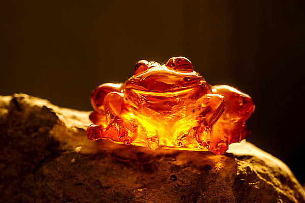 포토 JPG 해외이미지 자연 사람없음 빛 주황색 투명 보석 화석 앰버 해외포토 컬러 광석 생태계 파일형식 이미지허브