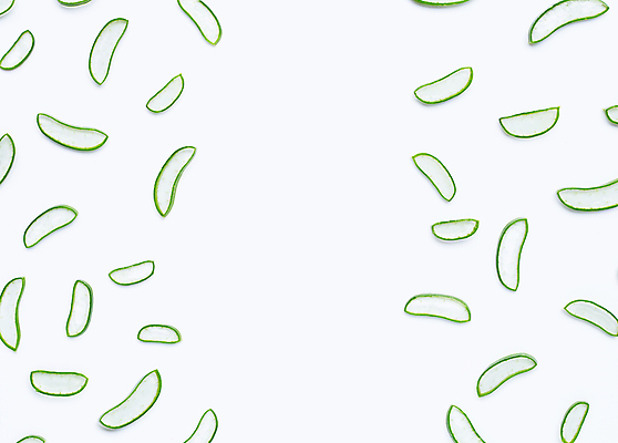 포토 JPG 해외이미지 스튜디오촬영 단면 실내 사람없음 흰배경 알로에 해외포토 식물 백그라운드 내부 흰색 파일형식 이미지허브