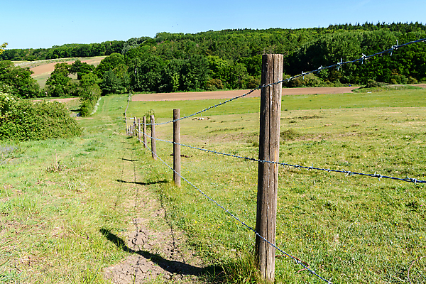 포토 JPG 해외이미지 주간 계절 농업 자연 하늘 휴가 영국 잉글랜드 풍경 사람없음 야외 초록색 여름 관광지 울타리 농경지 평화 사진촬영 침묵 봄 시골 땅 그림 장면 방문 내추럴 해외포토 자연요소 유럽 산업 컬러 여행 컨셉 담장 농장 촬영 소리 생태계 파일형식 이미지허브