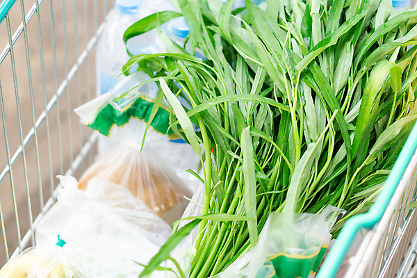 포토 JPG 해외이미지 잡화 음료 음식 빵 백그라운드 다이어트 채소 건강 사람없음 초록색 쇼핑 상점 카트 샐러드 흰색 신선 시장 바게트 가득함 유기농 소매 슈퍼마켓 많음 해외포토 웰빙 컬러 컨셉 파일형식 이미지허브