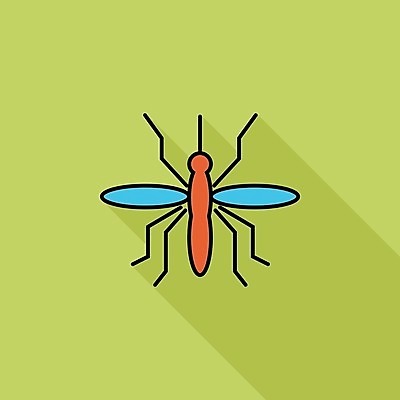 EPS 해외이미지 템플릿 디자인 실루엣 곤충 백그라운드 날개 일러스트 자연 추상 미술 그래픽 벌레 핥기 심볼 그림 생물학 토막 스타일링 엘리먼트 특별함 해외일러스트 동물 교육 컨셉 무늬 모션 문화예술 촬영기법 생태계 파일형식 벡터 이미지허브