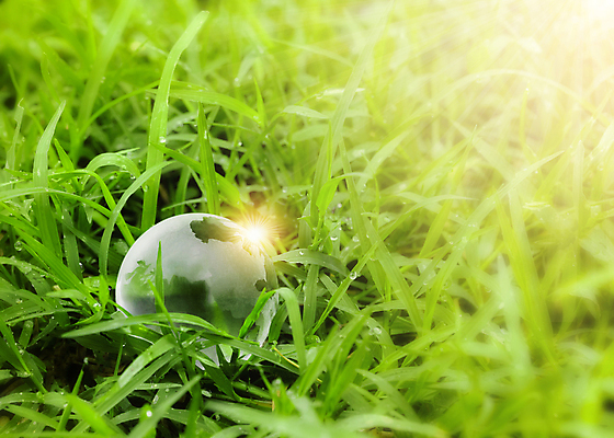 포토 JPG 해외이미지 나무 식물 지구 백그라운드 컨셉 지도 비즈니스 공 자연 유리 이끼 풍경 사람없음 초록색 물 세계 글로벌 햇빛 지구본 우주 환경 재활용 행성 신선 투명 보호 숲 크리스탈 심볼 에코 유기농 내추럴 생태학 여의주 해외포토 자연요소 웰빙 교육 컬러 재질 태양 광석 친환경 생태계 파일형식 이미지허브