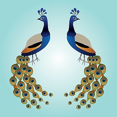 EPS 해외이미지 동물 남자 날개 일러스트 조류 장식 반짝임 컬러풀 공작 깃털 꼬리 단아함 해외일러스트 컬러 모션 사람 파일형식 벡터 이미지허브