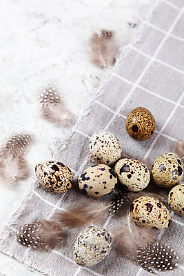 포토 JPG 해외이미지 전통 디자인 계절 행복 음식 백그라운드 컨셉 패턴 재료 자연 조류 휴가 건강 사람없음 장식 농장 갈색 우주 축제 치킨 봄 회색 수확 흰색 시골 축하 그룹 플랫 둥지 작음 먹기 심볼 깃털 유기농 질감 부활절계란 내추럴 메추리 콘크리트 해외포토 동물 웰빙 감정 컬러 무늬 농업 모션 부활절 계란 크기 생태계 닭고기요리 파일형식 이미지허브