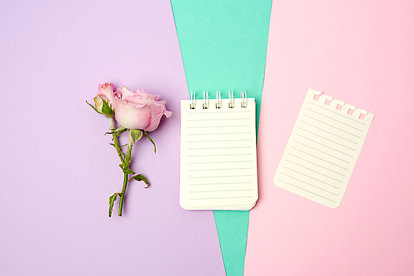 포토 JPG 해외이미지 꽃 종이 사람없음 장미 오브젝트 스프링노트 해외포토 식물 공책 파일형식 이미지허브