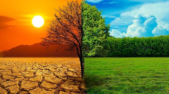 포토 JPG 해외이미지 나무 동물 구름 계절 지구 컨셉 밭 자연 하늘 표면 날씨 미래 건조 따뜻함 풍경 사람없음 초록색 여름 글로벌 태양 환경 흙 사막 죽음 신선 뜨거움 변화 균열 땅 모래언덕 질감 가뭄 지구온난화 유지 내추럴 벌거벗은 생태학 수평선 해외포토 자연요소 식물 교육 컬러 농업 모션 언덕 생태계 기후변화 파일형식 이미지허브