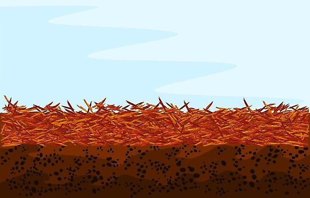 EPS 해외이미지 디자인 배너 계절 공원 백그라운드 패턴 농업 일러스트 자연 하늘 프레임 풍경 잔디 목재 장식 빨간색 갈색 정원 흙 소나무 잡초 플랫 만화 서비스 흰배경 유기농 원예 질감 조경 번짐 화단 나무껍질 유지 고립 돌봄 뒤뜰 무생채 카피스페이스 해외일러스트 나무 식물 웰빙 공공시설 산업 컬러 무늬 재료 모션 취미 공백 껍질 흰색 생태계 파일형식 벡터 효과 이미지허브