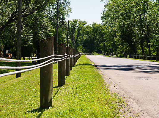 포토 JPG 해외이미지 나무 도로 길 선 자연 거리 안전 사람없음 야외 목재 옆모습 울타리 금속 전선 시골 보행로 보호 아스팔트 어깨 보안 철사 펜싱 봉 철탑 내추럴 길가 줄서기 직진 철강 그리너리 해외포토 식물 스포츠 뷰포인트 컨셉 재료 교통시설 모션 재질 신체부위 담장 탑 생태계 파일형식 트랜드컬러 이미지허브
