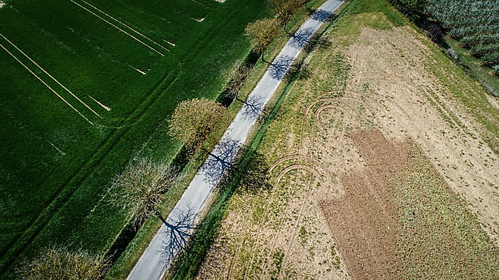 포토 JPG 주간 해외풍경 유럽 도로 유럽풍경 자연 풍경 사람없음 야외 프랑스 시골 가로수 항공촬영 국내포토 자연요소 해외 나라 길 뷰포인트 교통시설 생태계 파일형식