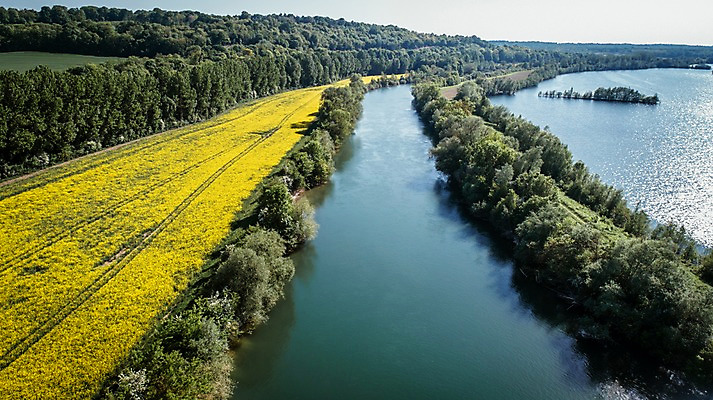 포토 JPG 주간 해외풍경 유럽 호수 유럽풍경 자연 풍경 사람없음 야외 강 봄 프랑스 항공촬영 유채밭 국내포토 자연요소 해외 계절 나라 뷰포인트 밭 유채 생태계 파일형식