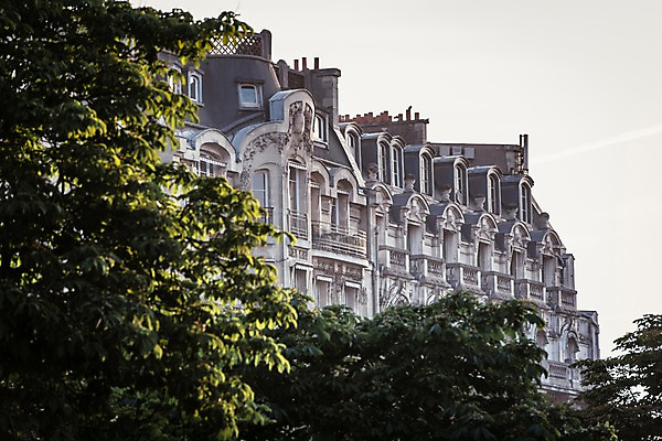 포토 JPG 주간 나무 해외풍경 유럽 유럽풍경 자연 아침 풍경 사람없음 야외 건물 빛 고요 프랑스 파리_프랑스 국내포토 자연요소 식물 해외 건축물 나라 생태계 파일형식