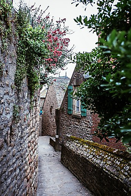 포토 JPG 주간 나무 해외풍경 유럽 벽 유럽풍경 자연 풍경 사람없음 야외 건물 마을 프랑스 골목길 돌길 몽생미셀 국내포토 자연요소 식물 해외 건축물 나라 길 생태계 파일형식