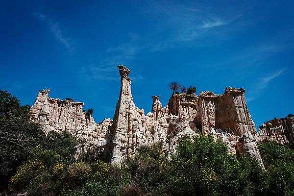 포토 JPG 주간 나무 해외풍경 유럽 유럽풍경 자연 풍경 사람없음 야외 프랑스 지형 지질 퇴적층 국내포토 자연요소 식물 해외 나라 생태계 지층 파일형식