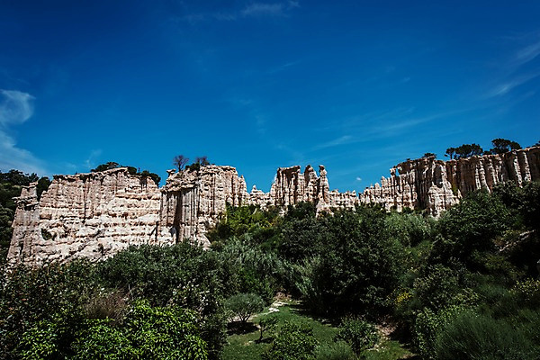 포토 JPG 주간 나무 해외풍경 유럽 유럽풍경 자연 풍경 사람없음 야외 프랑스 지형 지질 퇴적층 국내포토 자연요소 식물 해외 나라 생태계 지층 파일형식
