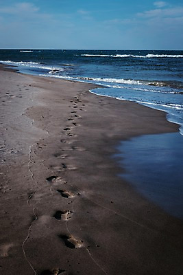 포토 JPG 주간 해외풍경 유럽 바다 유럽풍경 자연 풍경 사람없음 야외 모래사장 프랑스 발자국 지중해 국내포토 자연요소 해외 나라 자국 생태계 파일형식