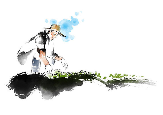 전신 PSD 남자 밭 일러스트 캘리그라피 붓터치 한명 미소 사람 성인 농작물 농경지 농사 농부 밀짚모자 번짐 성인남자한명만 국내일러스트 직업 모자_잡화 1 농업 표정 농장 남자한명만 성인남자만 파일형식 효과