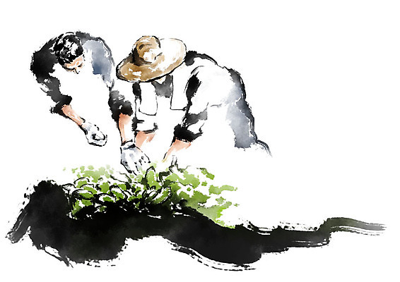 PSD 남자 일러스트 캘리그라피 붓터치 사람 상반신 성인 두명 농작물 수건 농경지 농사 잡기 농부 밀짚모자 번짐 성인남자만 국내일러스트 직업 모자_잡화 농업 모션 위생용품 농장 남자만 성인만 파일형식 효과