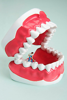 포토 JPG 스튜디오촬영 사람모양 실내 사람없음 치료 미니어처 발굴 오브젝트 치아모형 녹색배경 괭이 충치 국내포토 모양 백그라운드 의학 내부 초록색 모형 치아 질병 파일형식