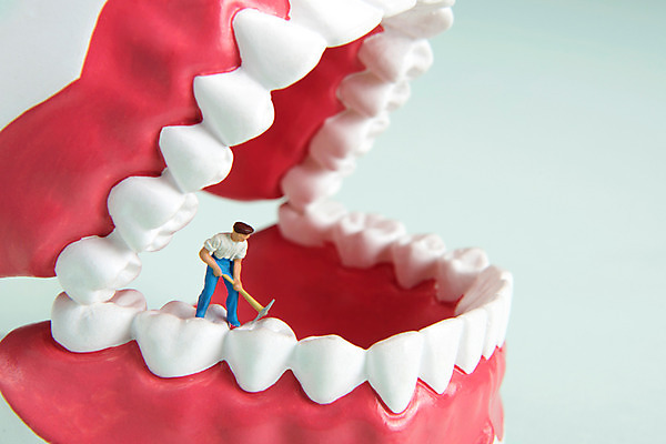 포토 JPG 스튜디오촬영 사람모양 실내 근접촬영 사람없음 치료 미니어처 발굴 오브젝트 치아모형 녹색배경 괭이 충치 국내포토 모양 뷰포인트 백그라운드 의학 내부 초록색 모형 치아 질병 파일형식