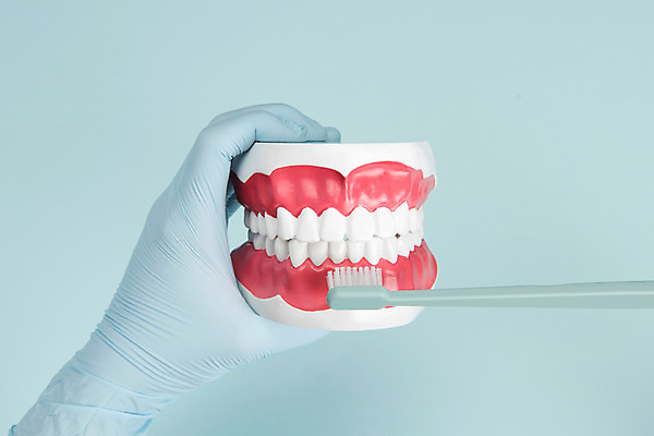 포토 JPG 스튜디오촬영 손 실내 사람 성인 신체부위 양치 잡기 칫솔 오브젝트 파란배경 수술장갑 치아모형 시범 국내포토 장갑 백그라운드 모션 내부 파란색 위생용품 청결 치아 파일형식