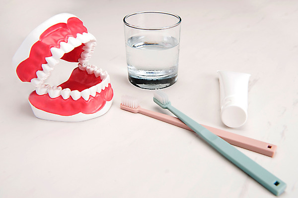 포토 JPG 스튜디오촬영 실내 사람없음 두개 칫솔 물컵 오브젝트 흰배경 치약 치아모형 국내포토 백그라운드 2 내부 컵 위생용품 흰색 치아 파일형식