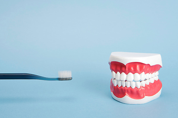 포토 JPG 스튜디오촬영 실내 사람없음 칫솔 오브젝트 파란배경 치아모형 국내포토 백그라운드 내부 파란색 위생용품 치아 파일형식