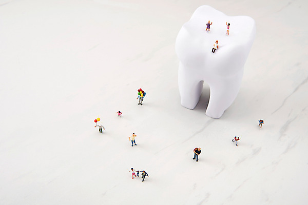 포토 JPG 스튜디오촬영 사람모양 실내 여러명 사람없음 미니어처 오브젝트 흰배경 치아모형 국내포토 모양 다수 백그라운드 사람 내부 모형 흰색 치아 파일형식