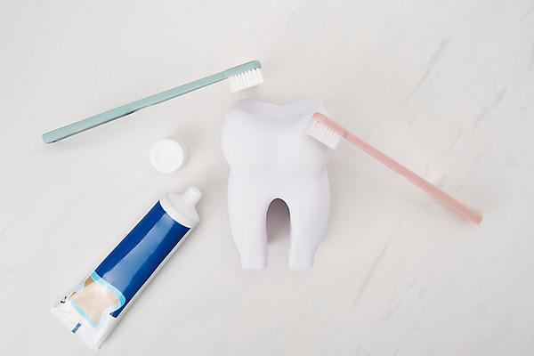 포토 JPG 스튜디오촬영 실내 사람없음 두개 칫솔 오브젝트 흰배경 치약 치아모형 국내포토 백그라운드 2 내부 위생용품 흰색 치아 파일형식