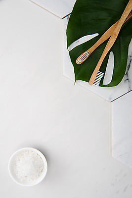 포토 JPG 스튜디오촬영 그릇 실내 사람없음 하이앵글 두개 칫솔 타일 오브젝트 흰배경 굵은소금 열대잎 플랫레이 국내포토 식기 뷰포인트 백그라운드 잎 2 내부 위생용품 흰색 플랫 소금 파일형식