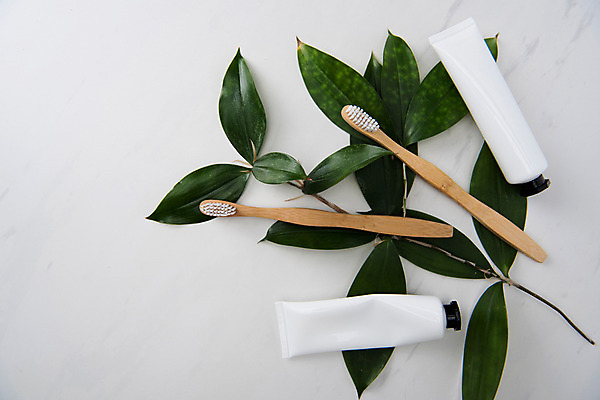 포토 JPG 스튜디오촬영 나뭇잎 실내 사람없음 하이앵글 두개 칫솔 오브젝트 흰배경 치약 플랫레이 국내포토 뷰포인트 백그라운드 잎 2 내부 위생용품 흰색 플랫 파일형식