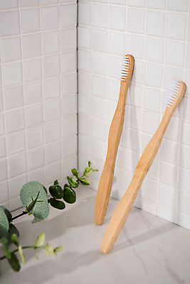 포토 JPG 스튜디오촬영 나뭇잎 실내 사람없음 두개 칫솔 오브젝트 타일벽 국내포토 벽 잎 2 내부 위생용품 파일형식