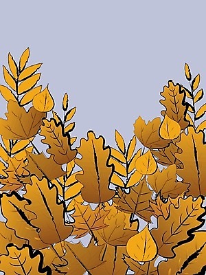 EPS 해외이미지 계절 백그라운드 잎 일러스트 갈색 가을 소셜미디어 카피스페이스 해외일러스트 식물 컬러 공백 파일형식 벡터 이미지허브