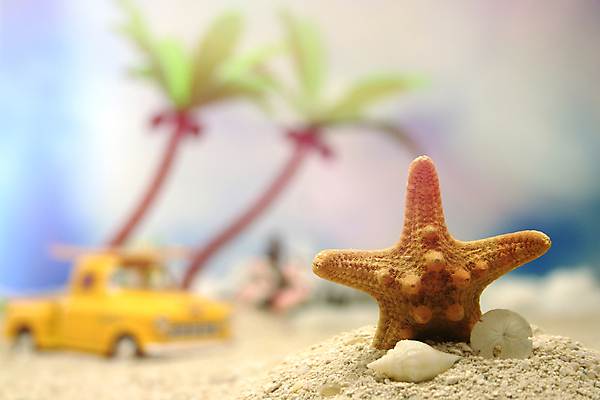 포토 JPG 해외이미지 나무 공원 모래 바다 섬 여행 백그라운드 자동차 자연 하늘 휴가 조개 손바닥 풍경 해변 사람없음 야외 물 여름 파란색 야자수 태양 봄 수확 껍질 서핑 산호 사인 휴양지 복고 짐차 단절 파라다이스 해외포토 자연요소 식물 손 계절 공공시설 육상교통 컬러 농업 어패류 장소 수상스포츠 자포동물 생태계 파일형식 이미지허브