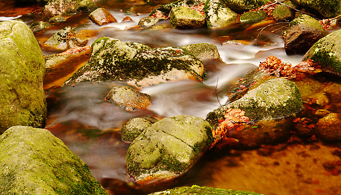 포토 JPG 해외이미지 나무 공원 여행 백그라운드 단풍 모션 자연 풍경 사람없음 야외 초록색 물 강 침묵 봄 폭포 젖음 흐름 가을 바위 흰색 개울 급류 떨어짐 매끈함 소프트포커스 숲 순수 속도 느림 셔터 내추럴 블러 해외포토 자연요소 식물 계절 공공시설 컬러 컨셉 잎 촬영기법 소리 돌_바위 감각 생태계 파일형식 이미지허브