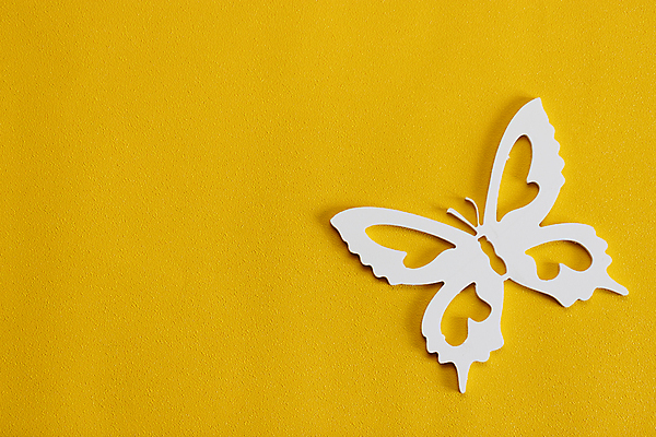 포토 JPG 해외이미지 모양 템플릿 디자인 배너 계절 실루엣 종이 나비 곤충 백그라운드 컨셉 패턴 자연 벽지 추상 휴가 아이디어 프레임 선물 사랑 미술 사람없음 장식 여름 파란색 유행 우주 희망 봄 수확 흰색 인사 신용카드 벌레 심볼 질감 복고 엘리먼트 스타일 카피스페이스 미니멀 해외포토 동물 감정 컬러 무늬 농업 문화예술 촬영기법 금융 공백 예절 생태계 파일형식 이미지허브