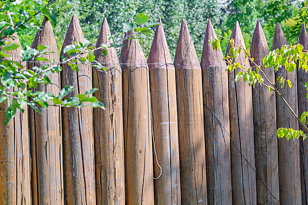 포토 JPG 해외이미지 주간 식물 벽 백그라운드 건축양식 거리 사람없음 야외 목재 초록색 울타리 갈색 마을 정원 시골 보호 큼 장애물 질감 통나무 날카로움 말뚝 내추럴 고체 뒤뜰 수목 옛날 그리너리 해외포토 자연요소 나무 건축 컬러 컨셉 재료 담장 크기 파일형식 트랜드컬러 이미지허브