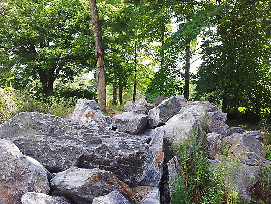 포토 JPG 해외이미지 나무 공원 바다 여행 패턴 자연 표면 날씨 추상 산 풍경 사람없음 야외 초록색 여름 갈색 환경 바위 구멍 거친 재산 숲 묘사 부식 질감 내추럴 지질학 해외포토 식물 계절 공공시설 교육 컬러 무늬 금융 돌_바위 생태계 파일형식 이미지허브