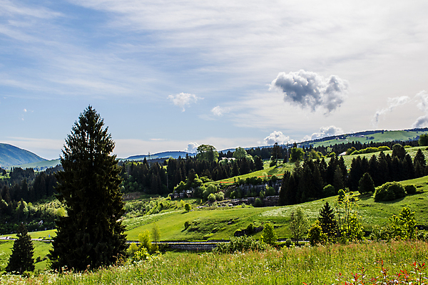 포토 JPG 해외이미지 나무 구름 응시 꽃 유럽 도로 하늘 아침 휴가 휴식 산 파노라마 풍경 사람없음 야외 초록색 여름 노란색 평화 환경 침묵 고요 봄 이탈리아 등산 시골 소나무 땅 언덕 에코 알프스 방법 엘리먼트 절정 파라다이스 해외포토 주간 자연요소 식물 시선 계절 나라 길 컬러 컨셉 교통시설 촬영기법 소리 트래킹 파일형식 이미지허브