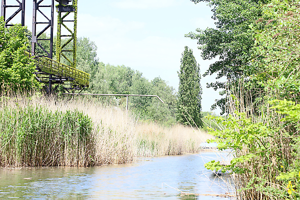 포토 JPG 해외이미지 전신 남자 산업 모래 유니폼 2 농업 건축양식 공장 안전 사람 사람없음 뒷모습 파란색 노란색 탑 금속 기계 장비 업무 제조 컨테이너 버리기 상업 탱크 시멘트 수납 무거움 발판 고용 실린더 옛날 철강 콘크리트 해외포토 건축물 옷 건축 뷰포인트 컬러 공업 모션 재질 구직 작업 무게 채용 파일형식 이미지허브