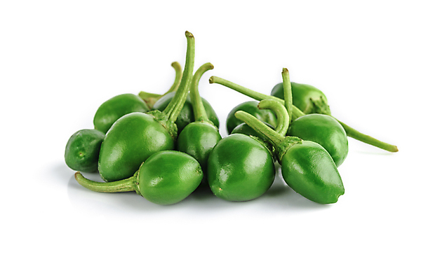 포토 JPG 해외이미지 잡화 줄기 채소 재료 자연 고추 불 파프리카 건강 사람없음 빨간색 초록색 농장 노란색 수확 성장 흰색 뜨거움 원형 체리 시장 닫기 달콤 상품 작음 큼 폭탄 인도인 향신료 싱글 유기농 매움 날것 후추 국산 칠레 보닛 고립 숙성 식용 온실 줄서기 할라피뇨 해외포토 자연요소 도형 외국인 식물 웰빙 컬러 농업 과일 모션 자동차 동양인 남아메리카 맛 크기 폭발물 생태계 향미료 파일형식 이미지허브