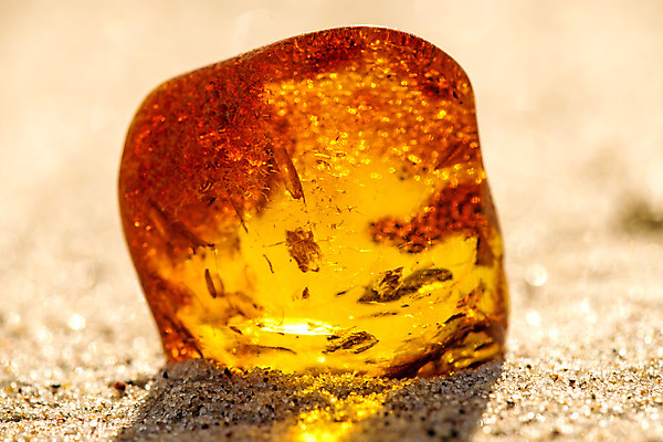 포토 JPG 해외이미지 자연 사람없음 빛 주황색 투명 보석 화석 앰버 해외포토 컬러 광석 생태계 파일형식 이미지허브