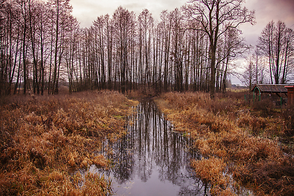 포토 JPG 해외이미지 나무 구름 계절 공원 호수 겨울 자연 하늘 풍경 사람없음 야외 초록색 물 파란색 강 반사 노란색 폭포 가을 연못 개울 숲 슬로프 해외포토 자연요소 식물 공공시설 컬러 스키장 생태계 파일형식 이미지허브