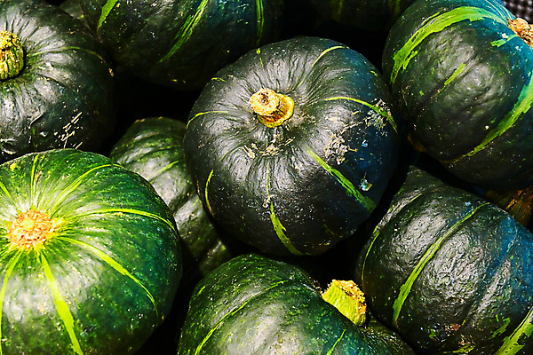 포토 JPG 해외이미지 식물 잡화 음식 백그라운드 농업 채소 재료 자연 호박 선반 건강 사람없음 초록색 농장 세일 쌓기 바구니 상점 줄무늬 할로윈 수확 가을 신선 시장 닫기 유기농 질감 날것 박 추수감사절 스쿼시 슈퍼마켓 내추럴 매각 숙성 해외포토 웰빙 계절 산업 기독교 스포츠 컬러 가구 무늬 모션 구기 생태계 파일형식 이미지허브