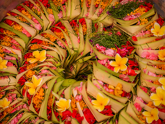 포토 JPG 해외이미지 식물 전통 디자인 꽃 아시아 종교 문화 음식 섬 잎 꽃무늬 오렌지 선물 미술 동양인 사람없음 장식 빨간색 초록색 컬러풀 바구니 역사 심볼 정사각형 향기 발리 인도네시아 희생 밀짚 숭배 신앙심 이국적 힌두교 해외포토 도형 나라 컬러 무늬 과일 문화예술 인종 짚 냄새 파일형식 이미지허브